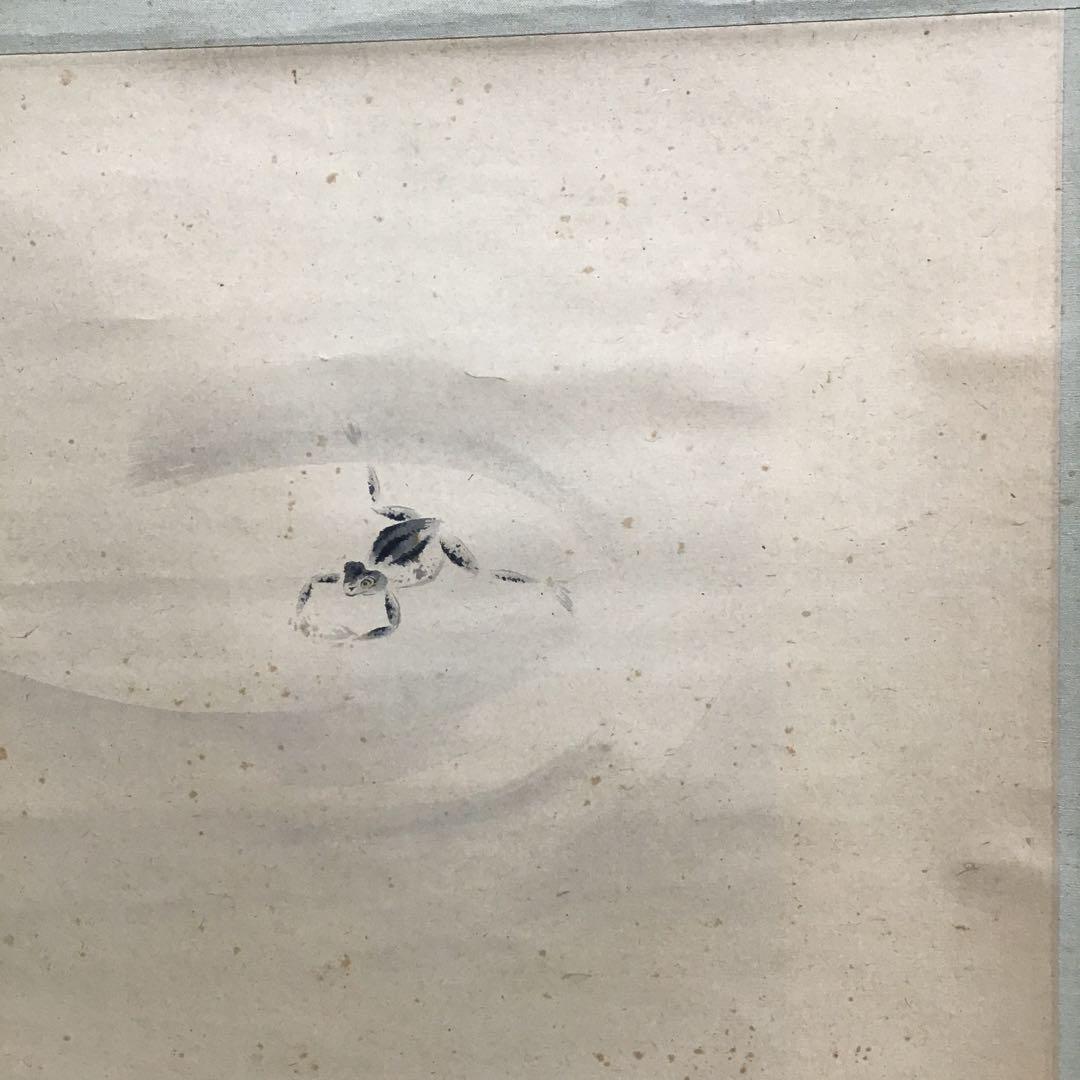 K茶道具　掛軸　「水邊(池蛙)」　双年作　共箱(一部削れ有り)　S215KJ