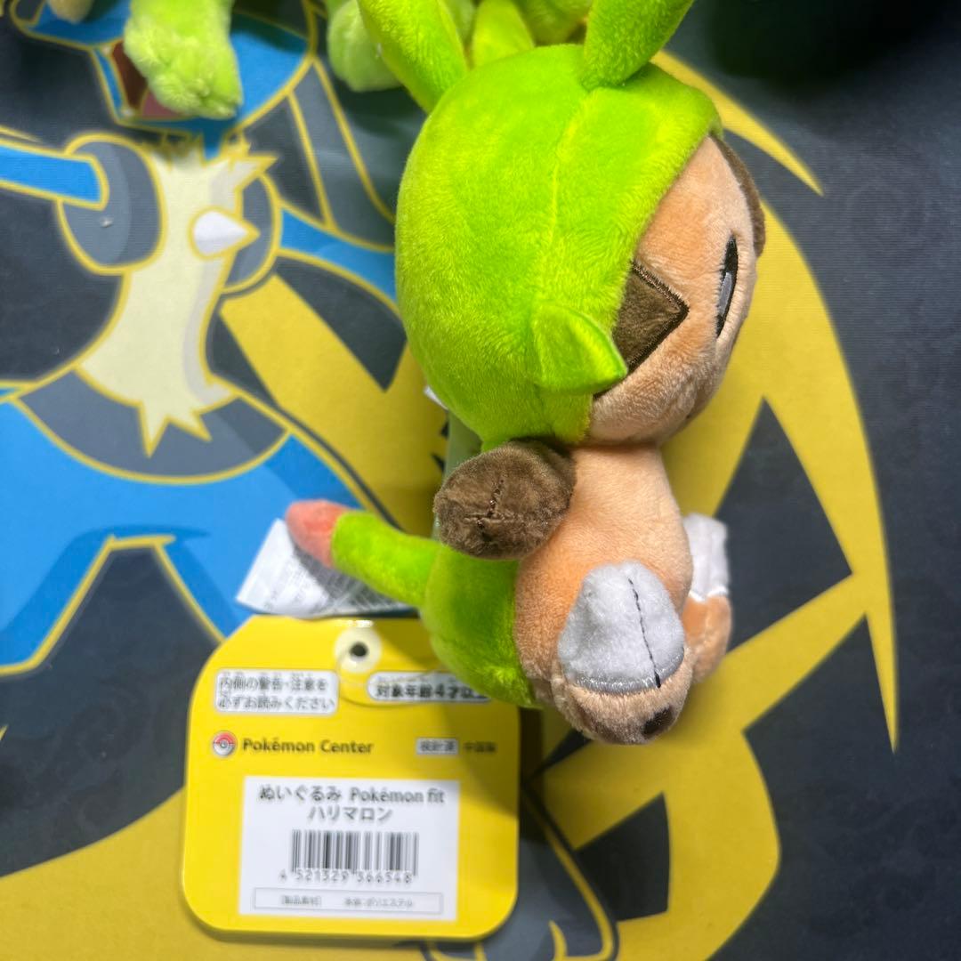 Pokémon fit 御三家　まとめ売り