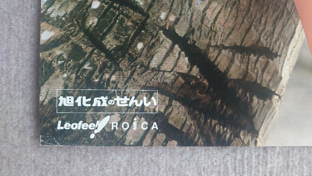 松嶋菜々子 旭化成 特大水着ポスターサイズ B1