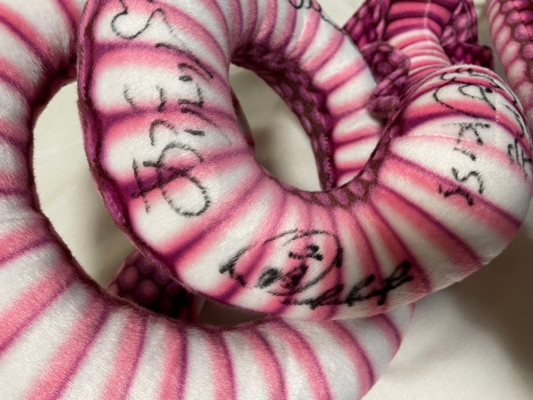 【レア！】おとぼけビ〜バ〜 2025謹賀新年ぬいぐるみ あっこりんりんサイン入り