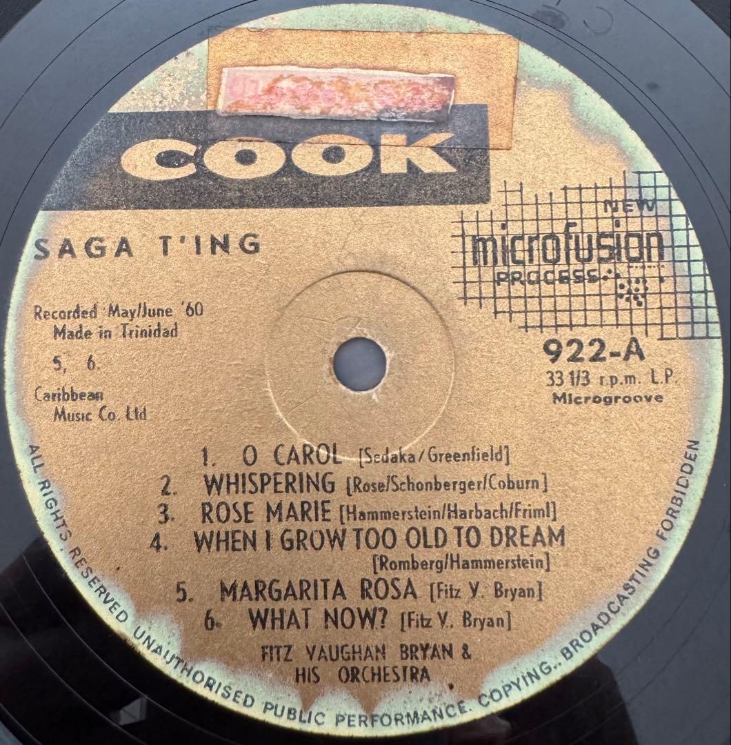 洋楽 Fitz Vaughan Bryan - Saga Ting!
