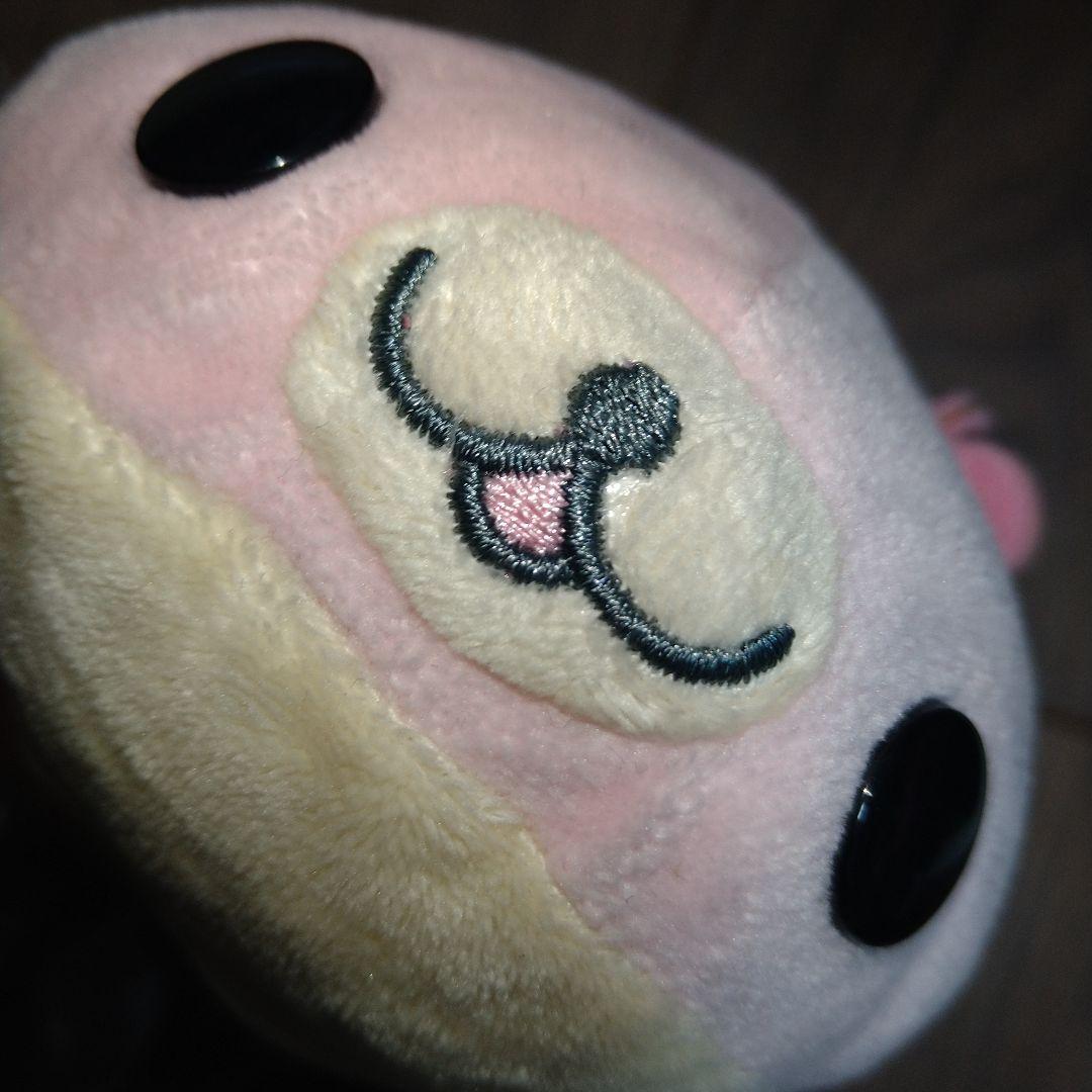 激レア　希少　まめゴマ　さくらゴマ　ドレス