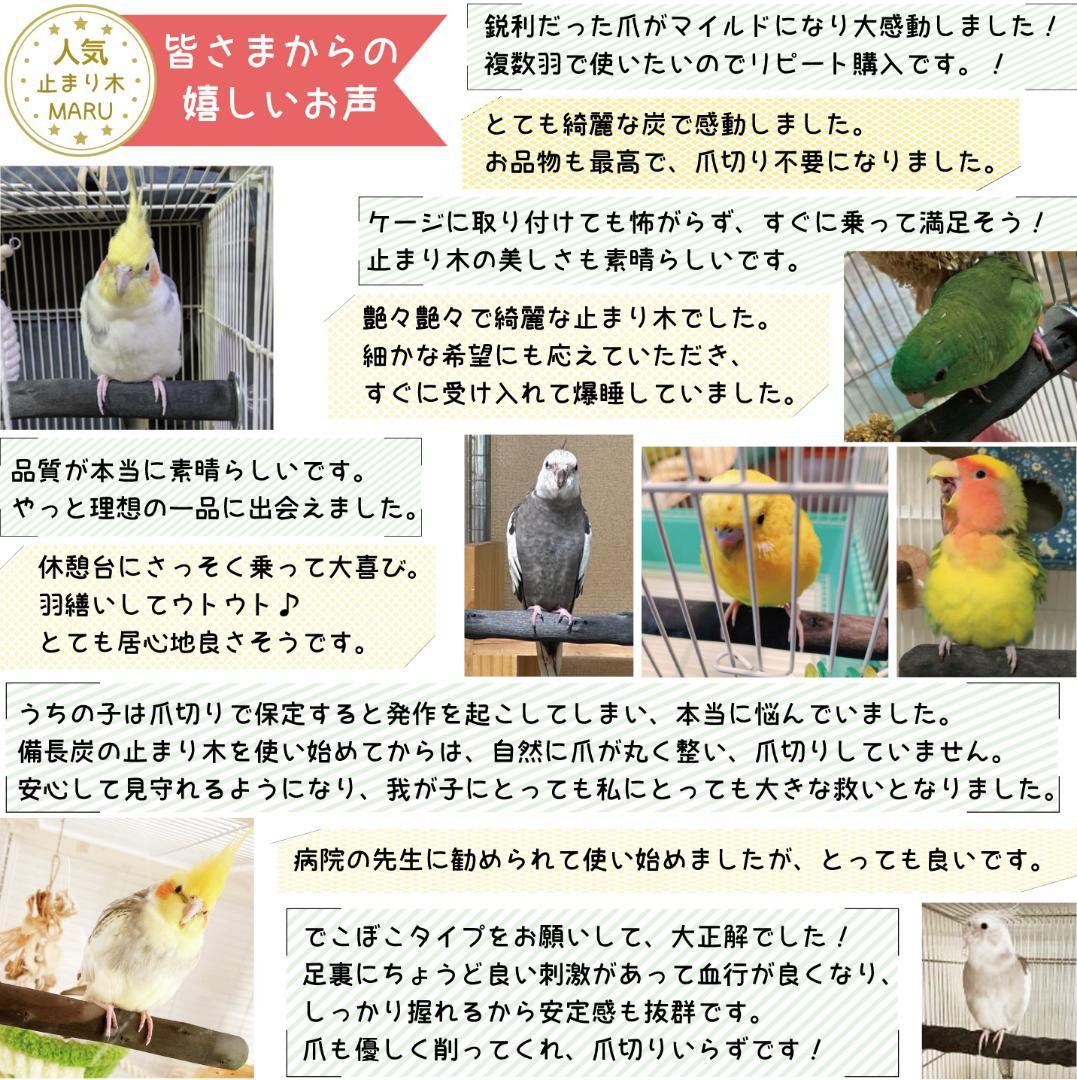 その他 Cocoa