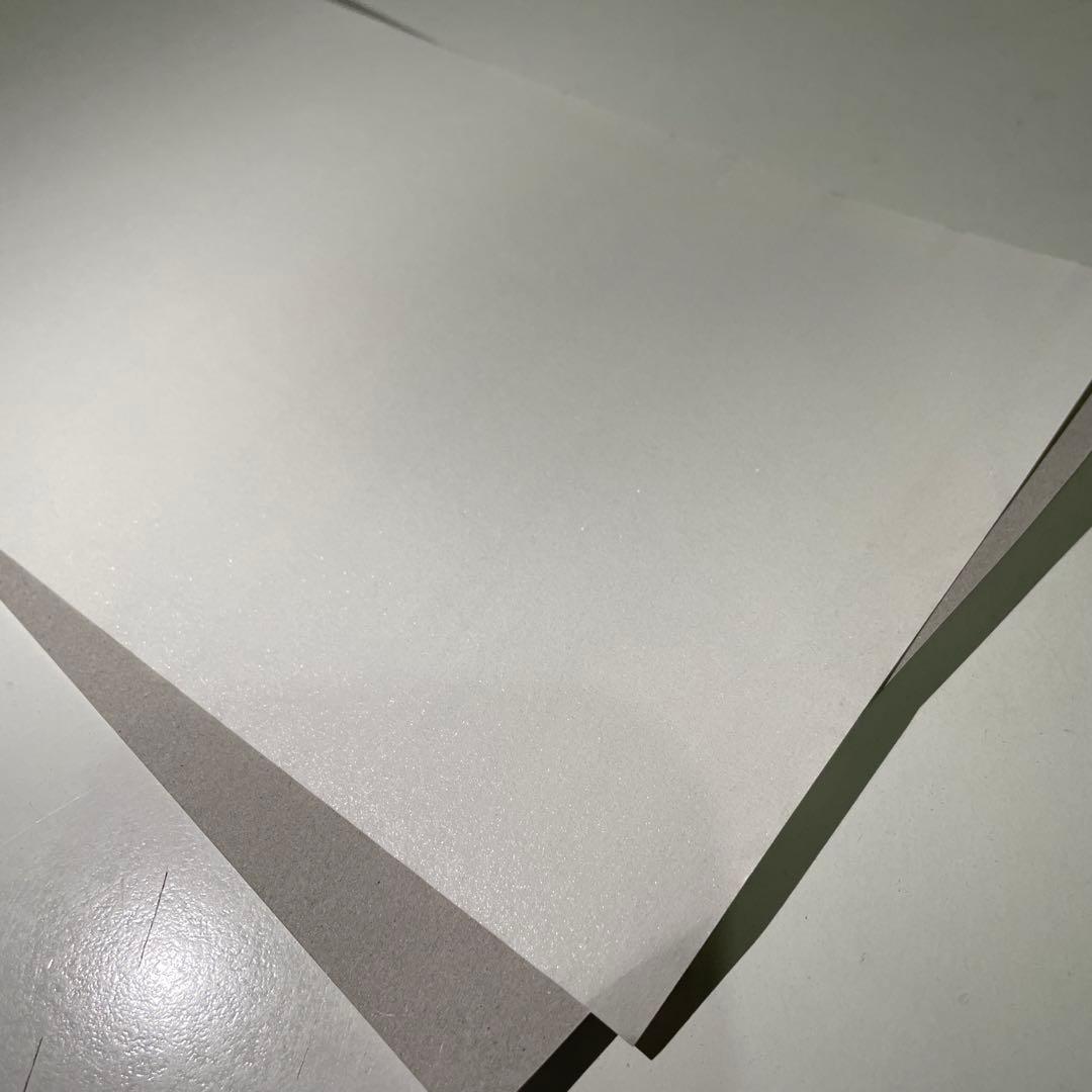 当時品 ヴァンパイア騎士 ポスター？