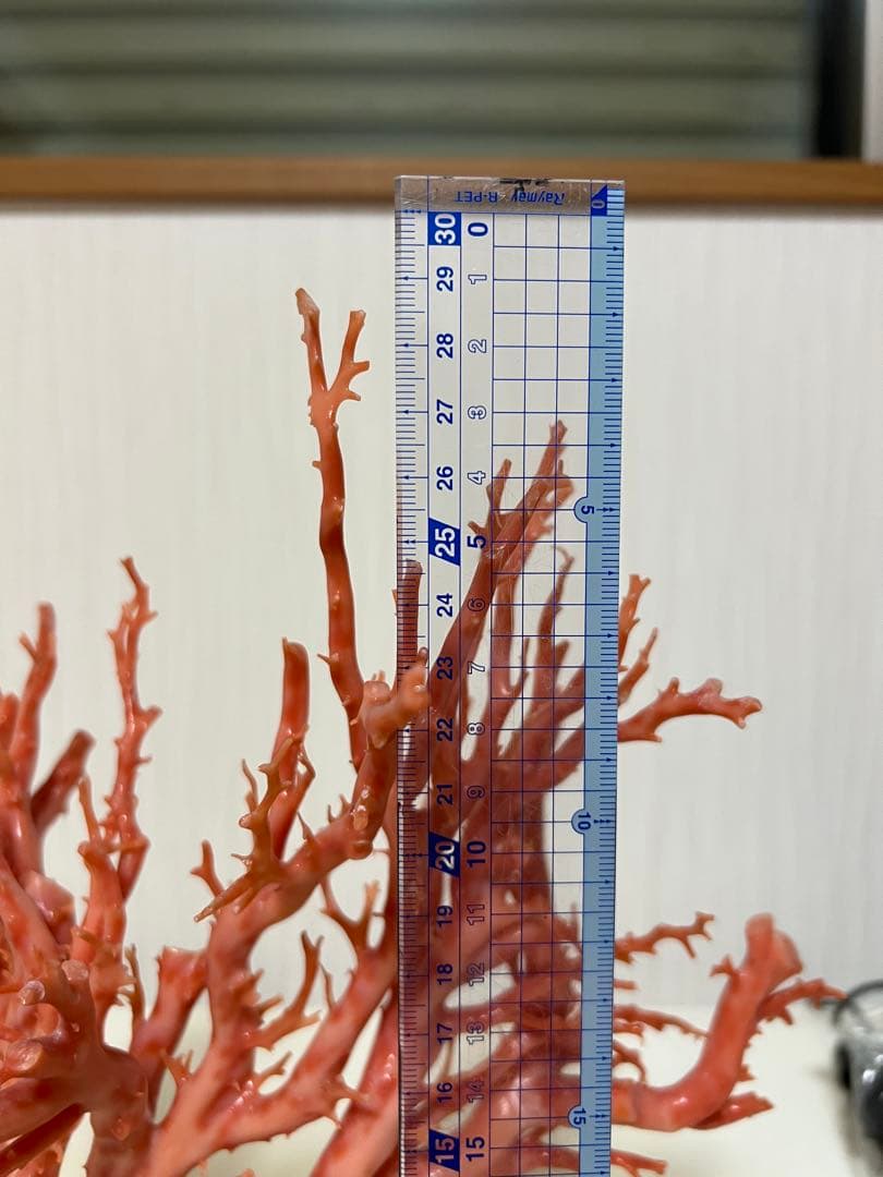 天然深海赤珊瑚　ピンク珊瑚 枝珊瑚　置物 宝石　原木　sango サンゴ　希少