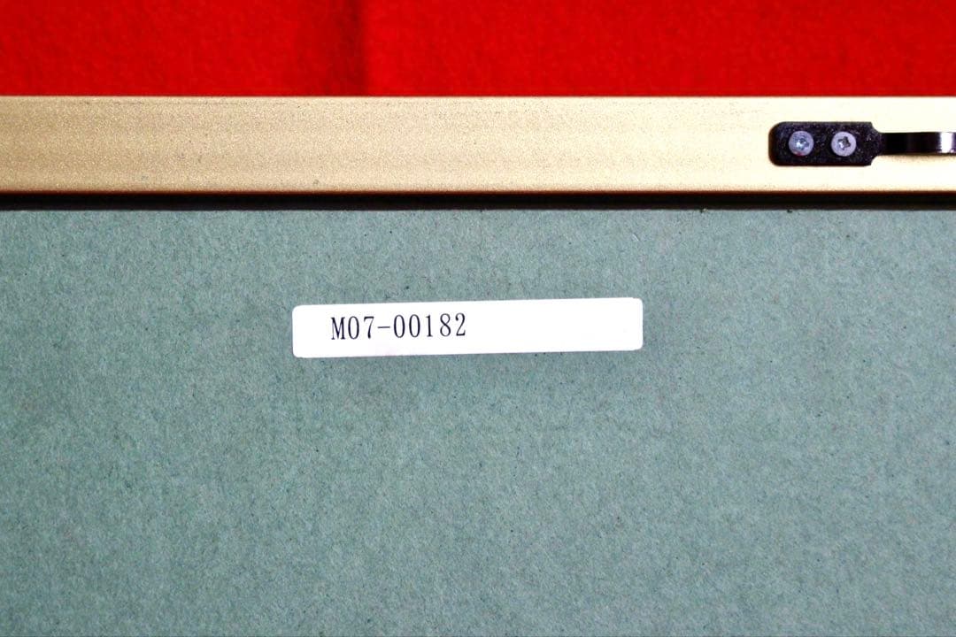 こころの風景コレクション【中村賢次　ムシカゴ】購入金額より60％お値引き！！