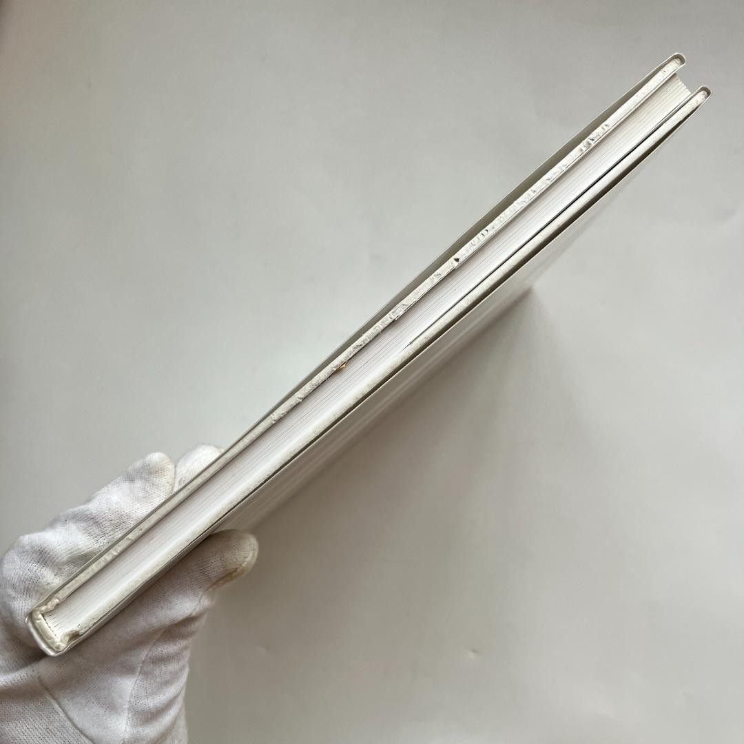 バーゼルへの道　ヘルムート・シュミット　der Weg nach Basel