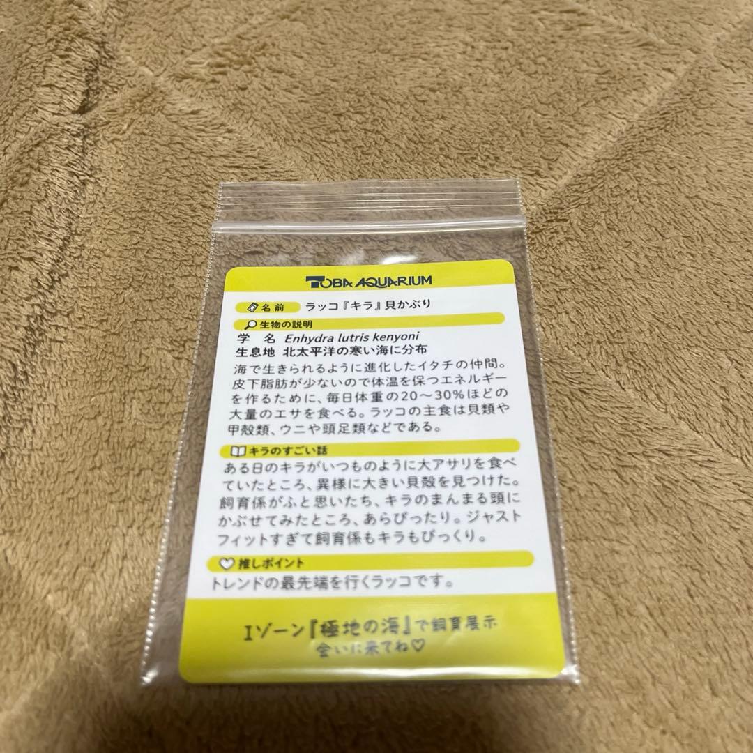 鳥羽水族館　ラッコキラ　レアカード