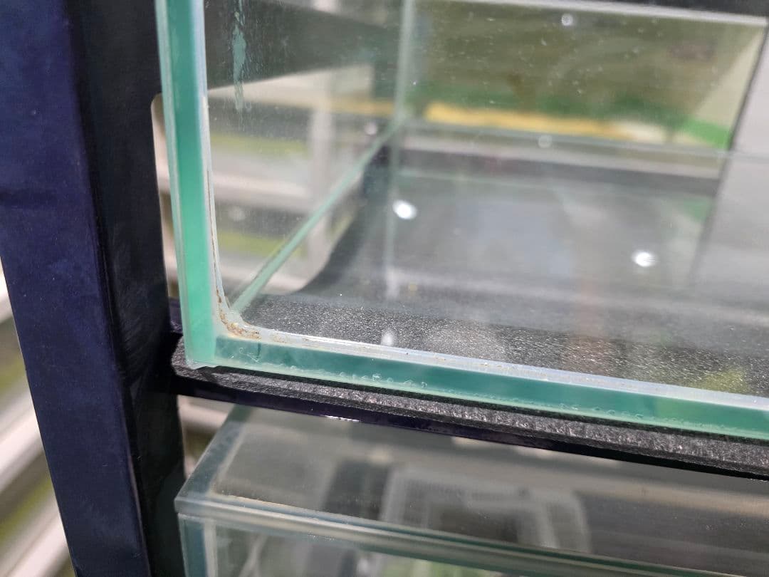 エーハイム ガラス ケージ １個 引取り