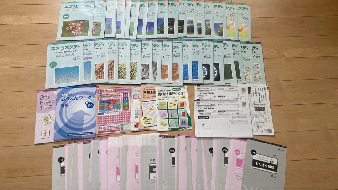 Z会 エブリスタディ 小6 公立中高一貫適性検査&作文　他