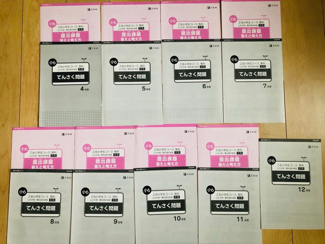 Z会 エブリスタディ 小6 公立中高一貫適性検査&作文　他