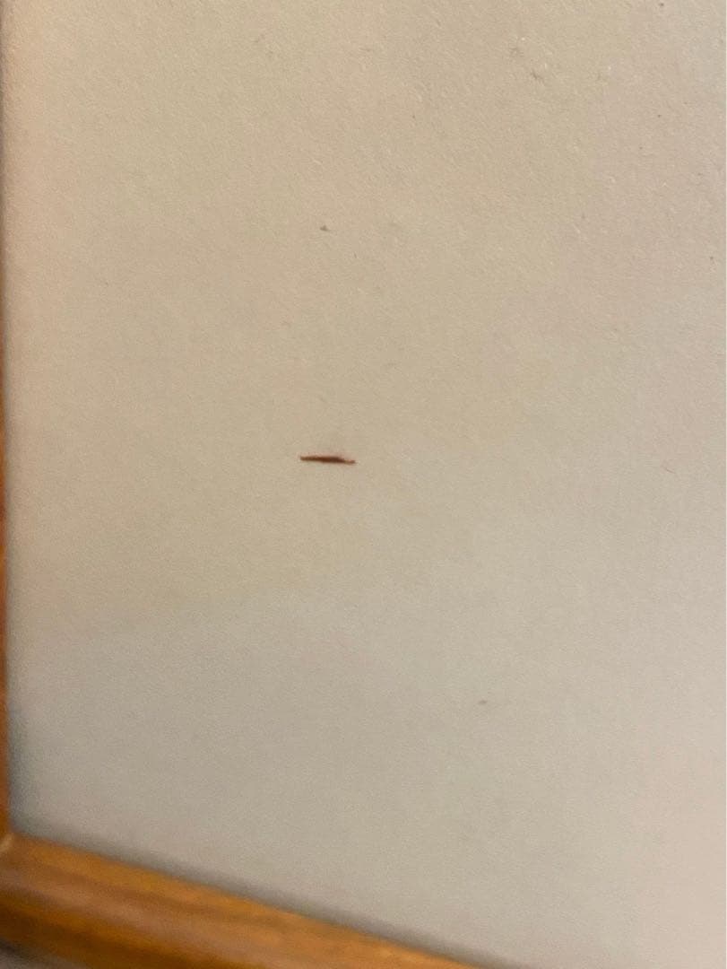 徳力冨吉郎 京洛十二題 額縁 インテリア