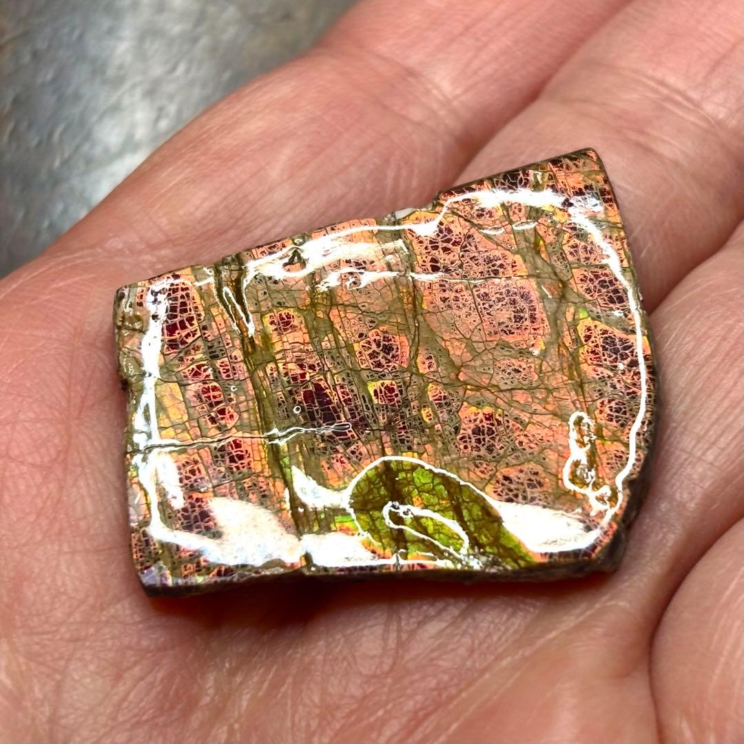 カナダ産 アンモライト 樹脂スタビライズ加工 天然宝石 化石 標本 両面遊色あり