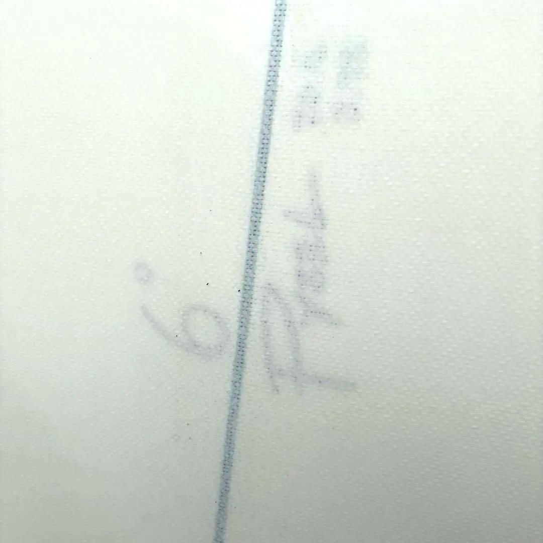 ‼️美品PYZEL‼️ パイゼルサーフボード ASTRO GLIDER 6.0