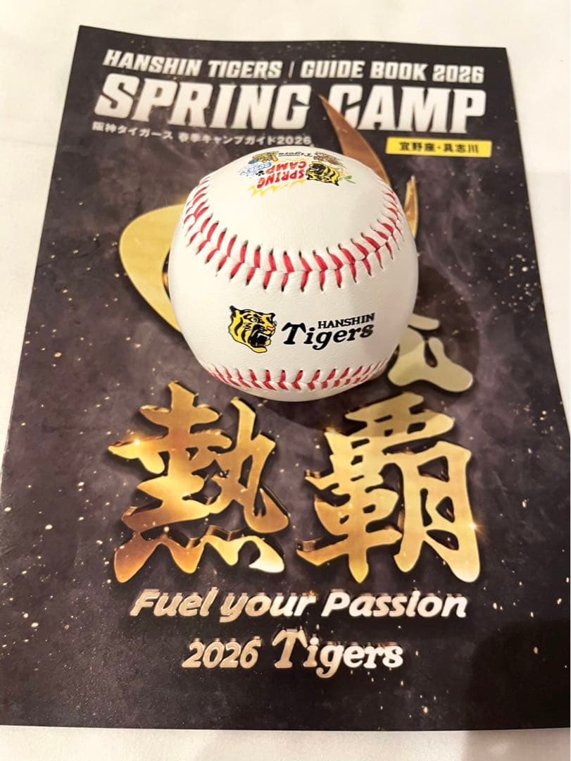 阪神タイガース 立石正広 直筆サインボール 2026沖縄キャンプ限定球