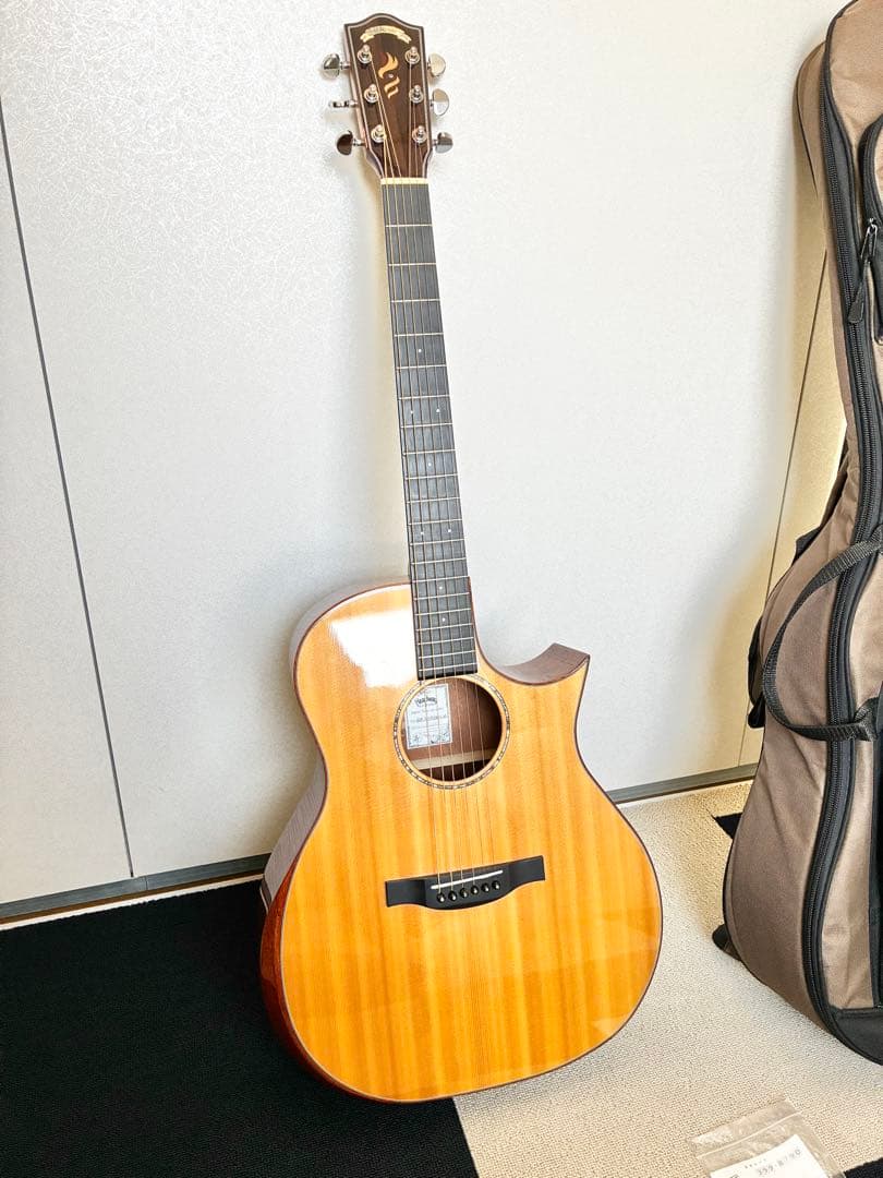 HEADWAY HGAF-5100SE アコースティックギター へッドウェイ