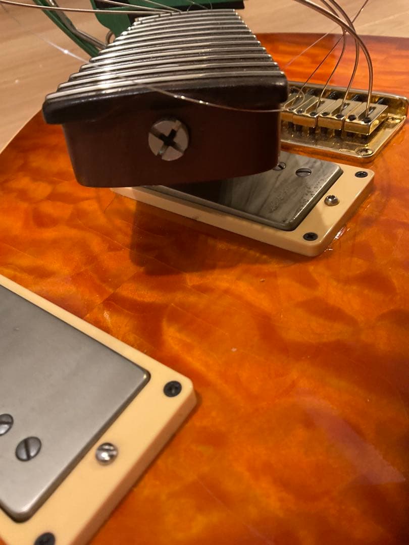 DON GROSH GUITAR ＃２１８