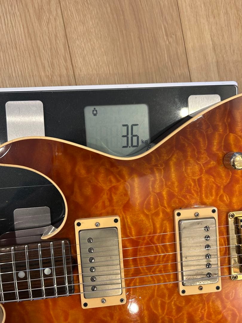 DON GROSH GUITAR ＃２１８