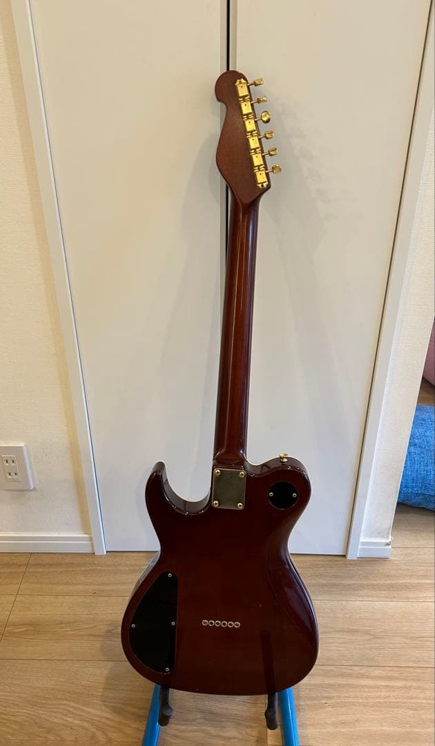 DON GROSH GUITAR ＃２１８