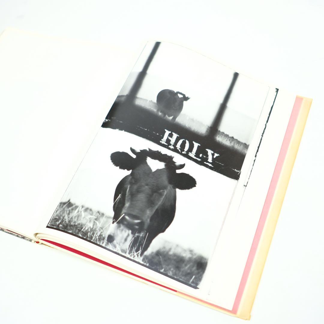 THE LINES OF MY HAND ROBERT FRANK 洋書　写真集