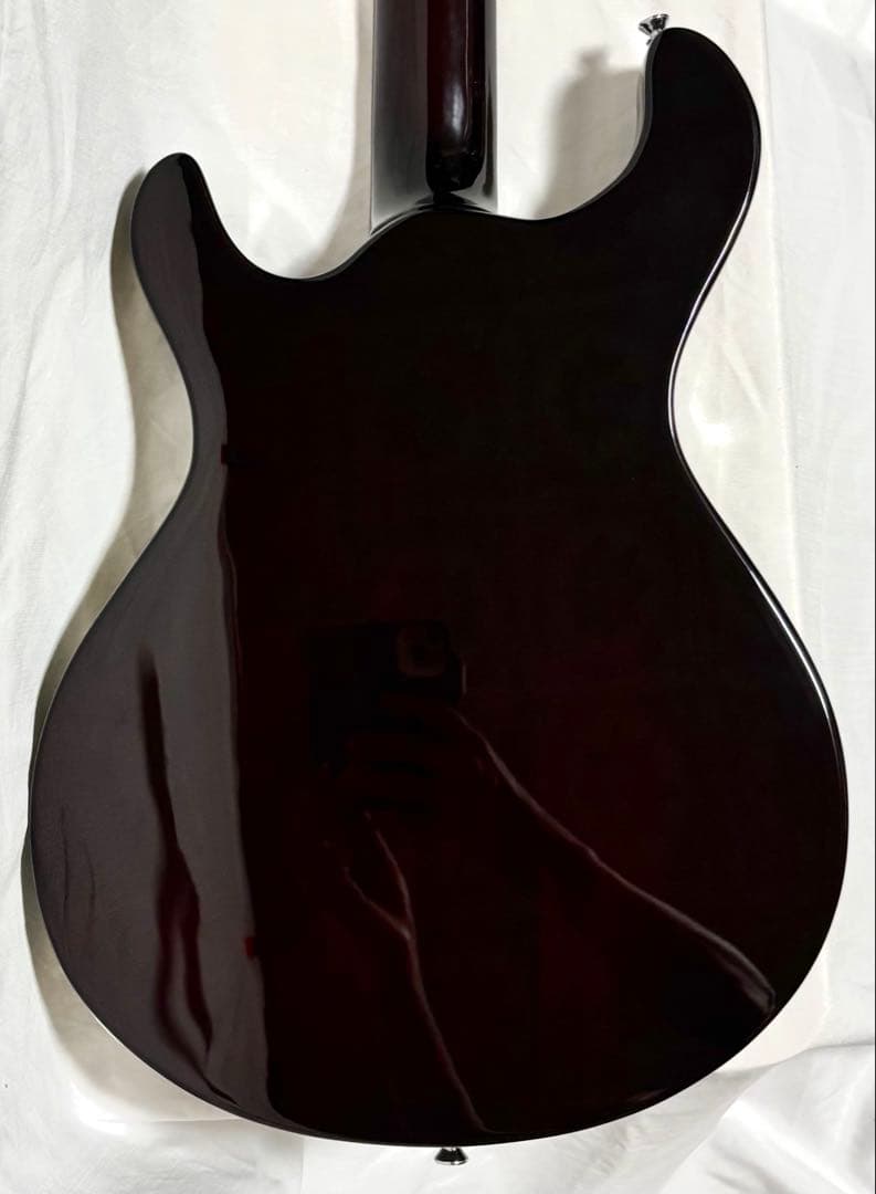 【新品弦張替済】GFC セミアコ PRSタイプ Tree of Life