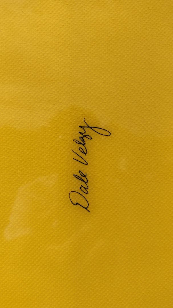 Velzy 9'4” ベルジーサーフボード BANJOモデル 中古ロングボード