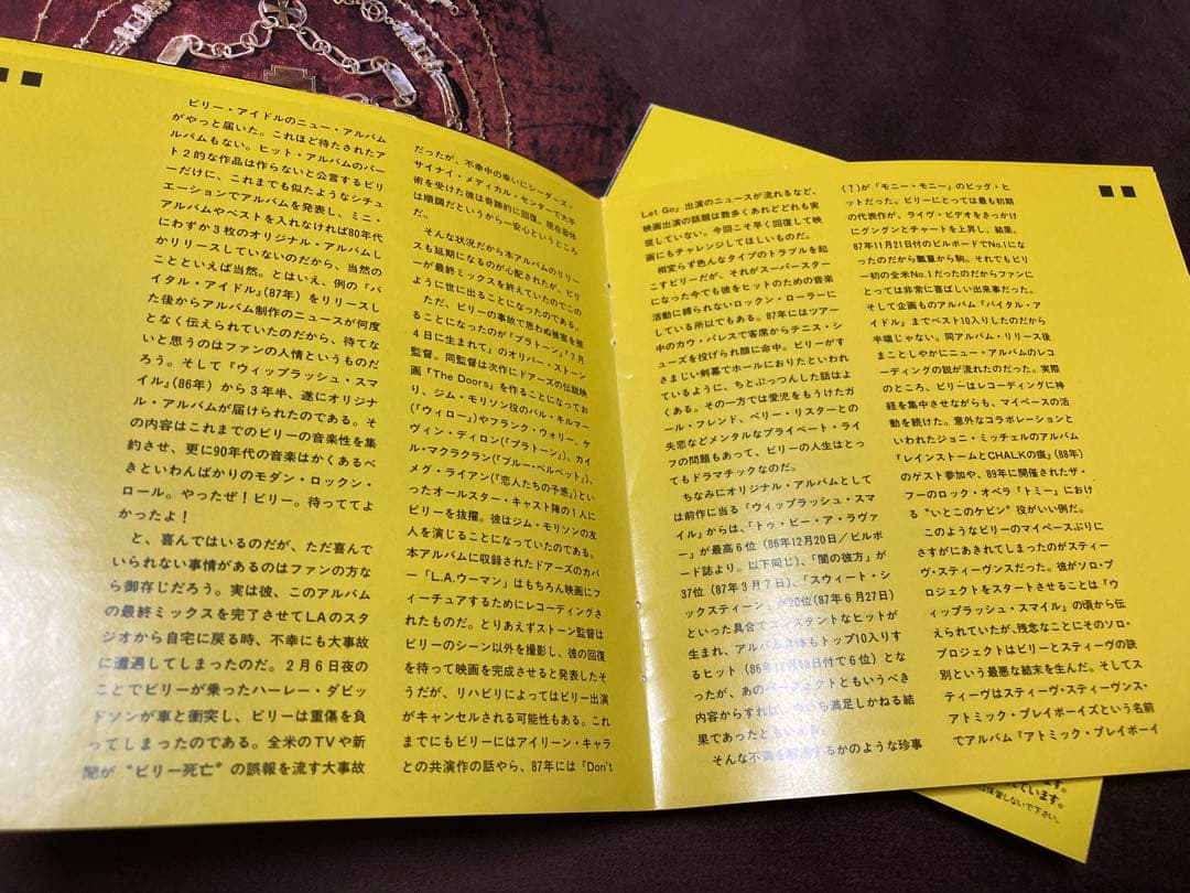 ビリー・アイドル　スティーヴ・スティーヴンス　サインCD billy idol