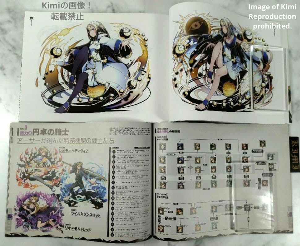 ディバインゲート OFFICIAL ART WORKS 本 2015 初版 画集