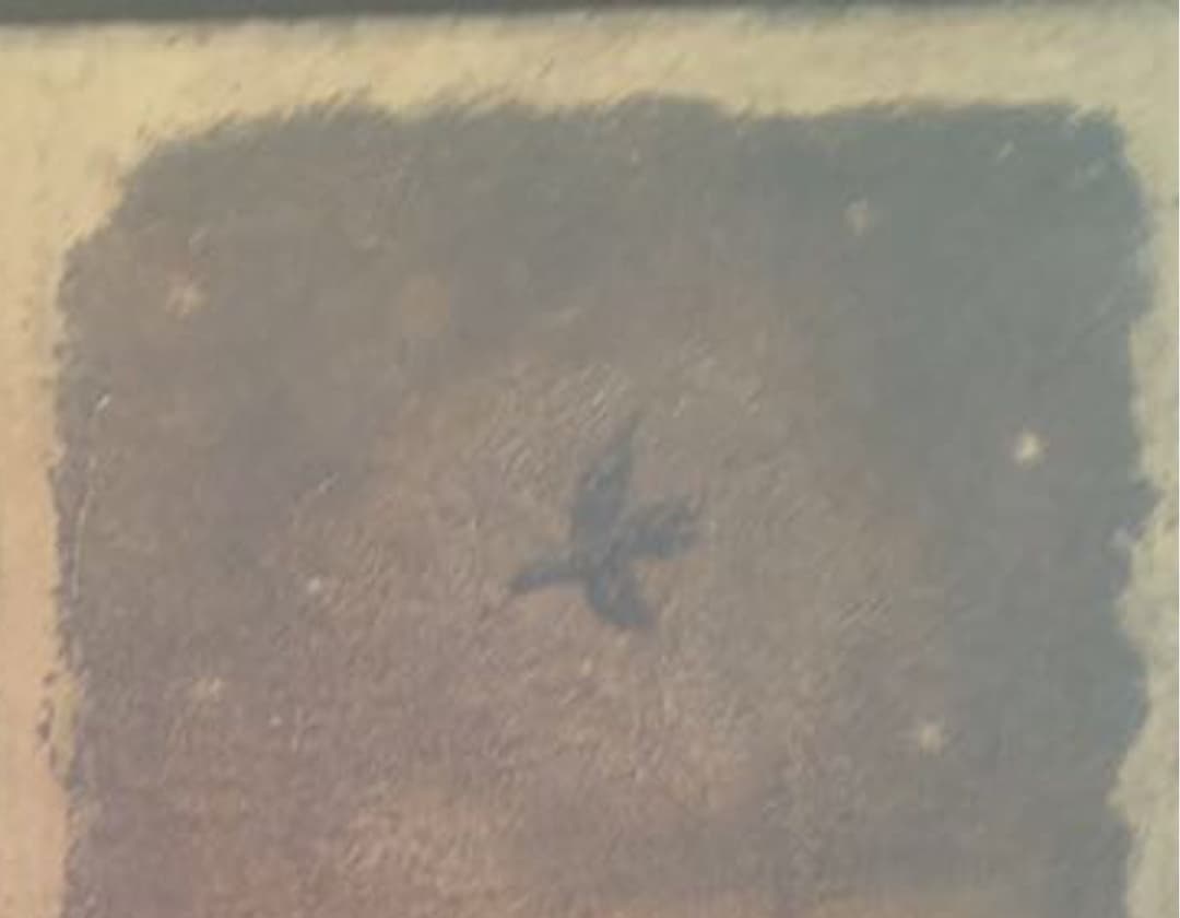 山本　明比克　3号　絵画　『Rの夜』