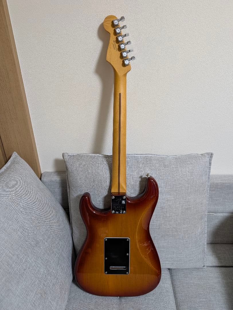 (レイ) Fender Player Plus Stratocaster