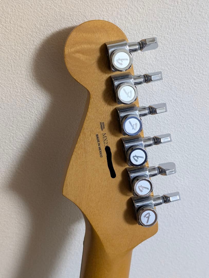 (レイ) Fender Player Plus Stratocaster