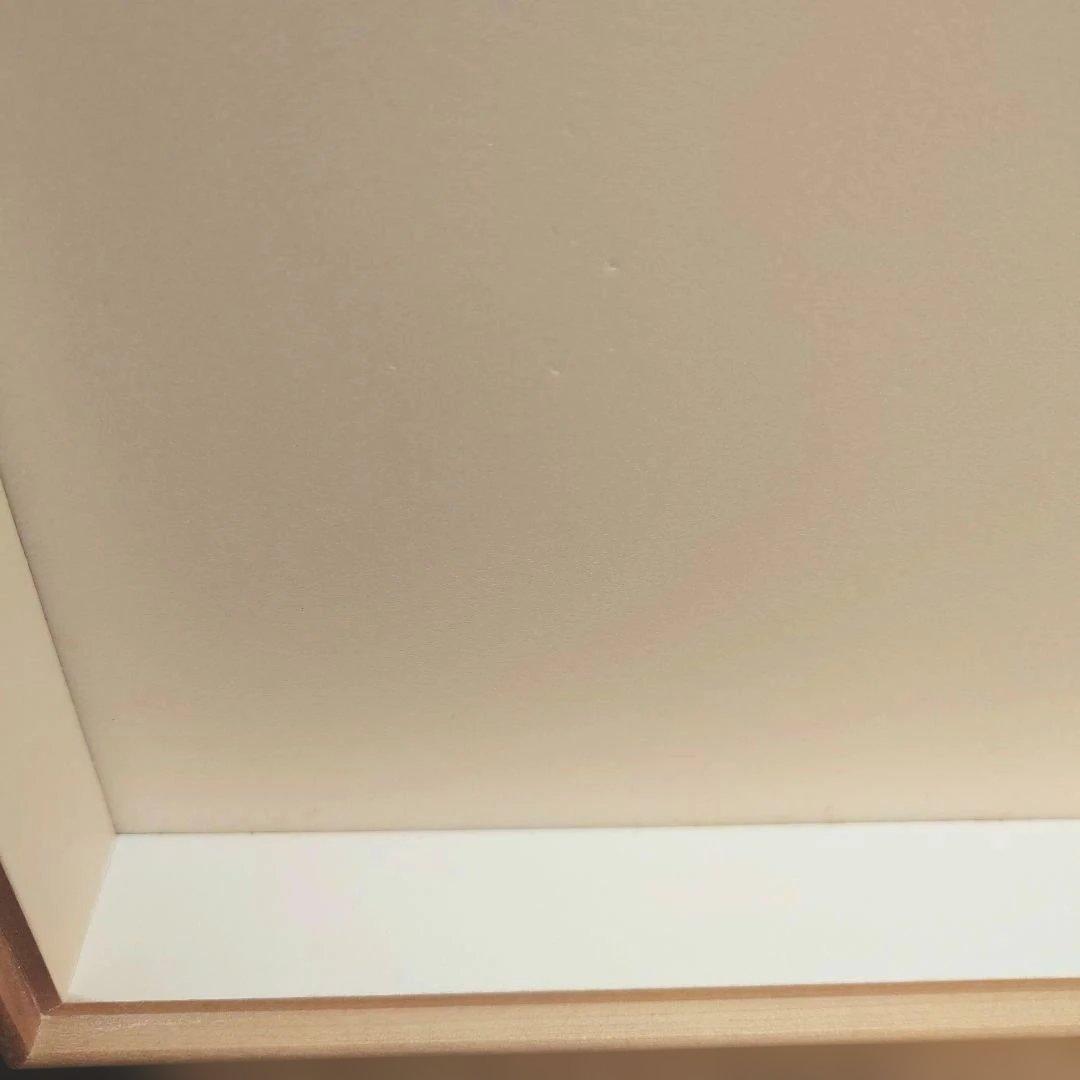 あ*ぬ様 中野製作所　大型ドイツ箱　標本箱　中古　約42×51×6