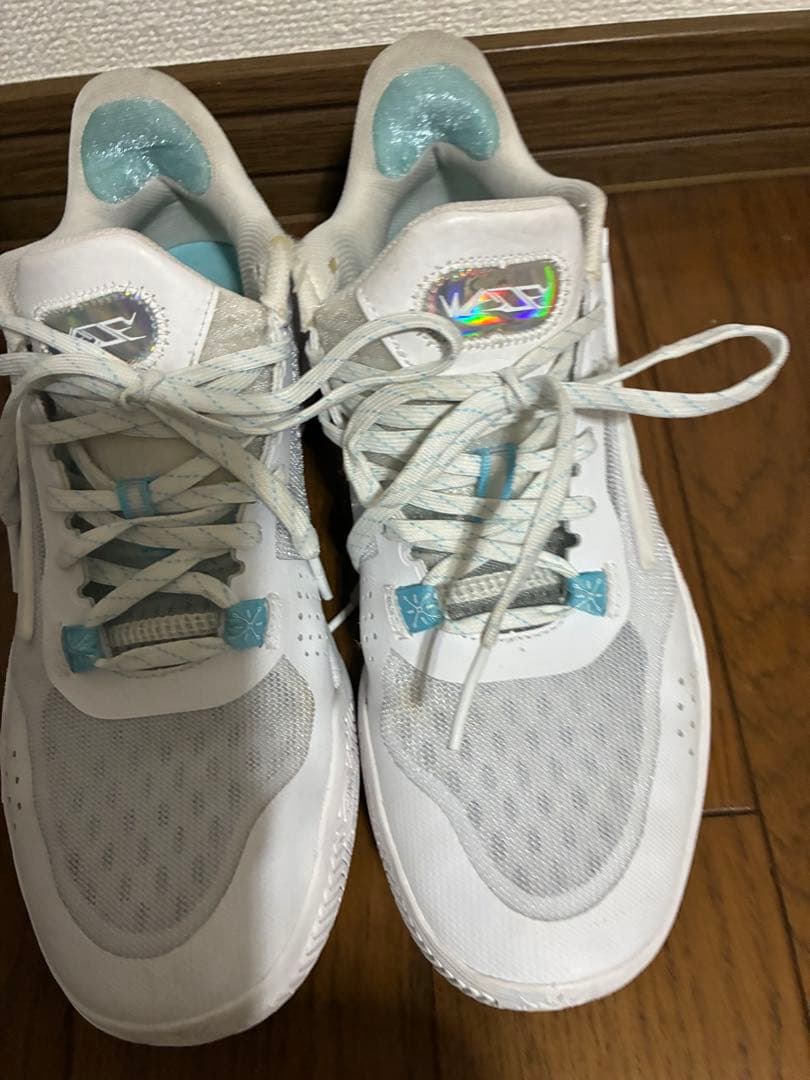 リーニン　ウェイドフラッシュ　バスケットボールシューズ