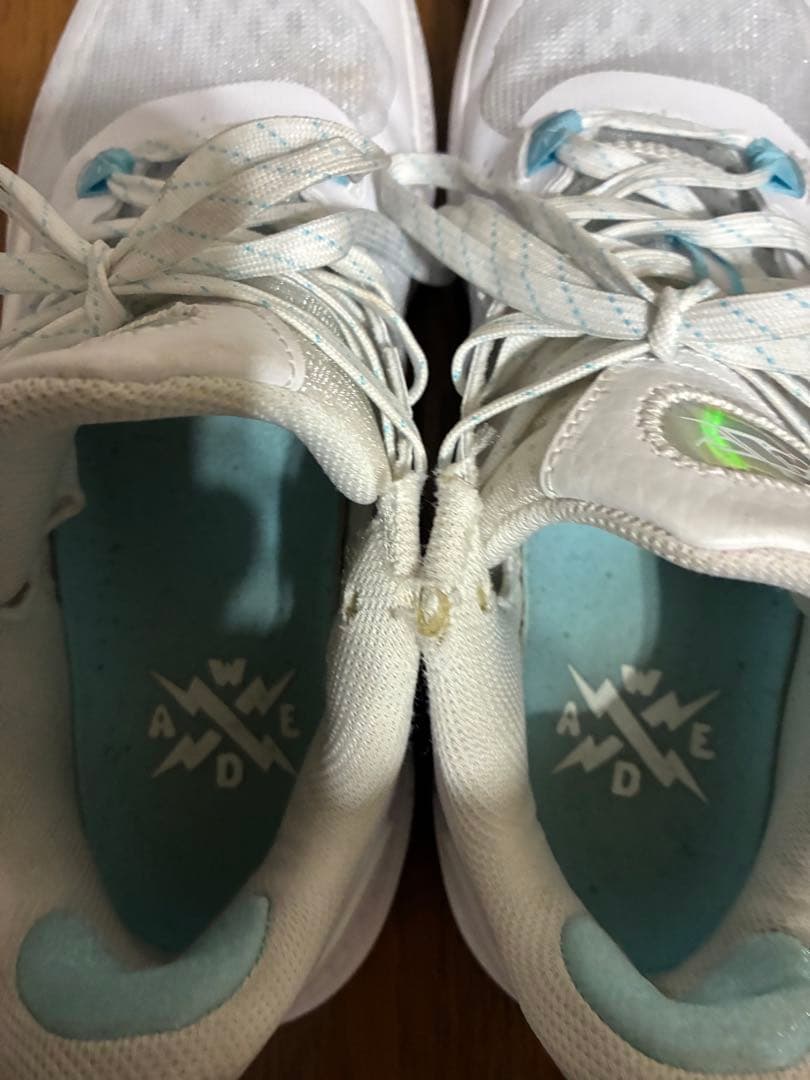 リーニン　ウェイドフラッシュ　バスケットボールシューズ