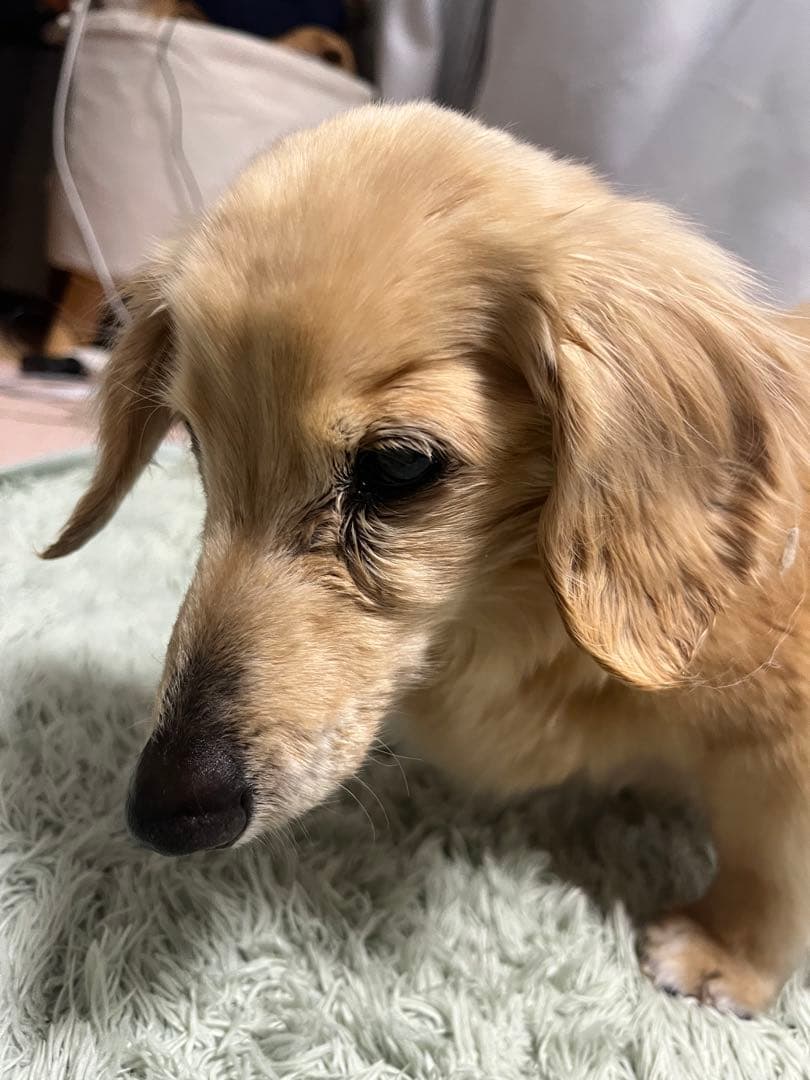 口元写真追加してみました