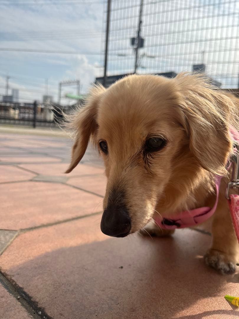 口元写真追加してみました