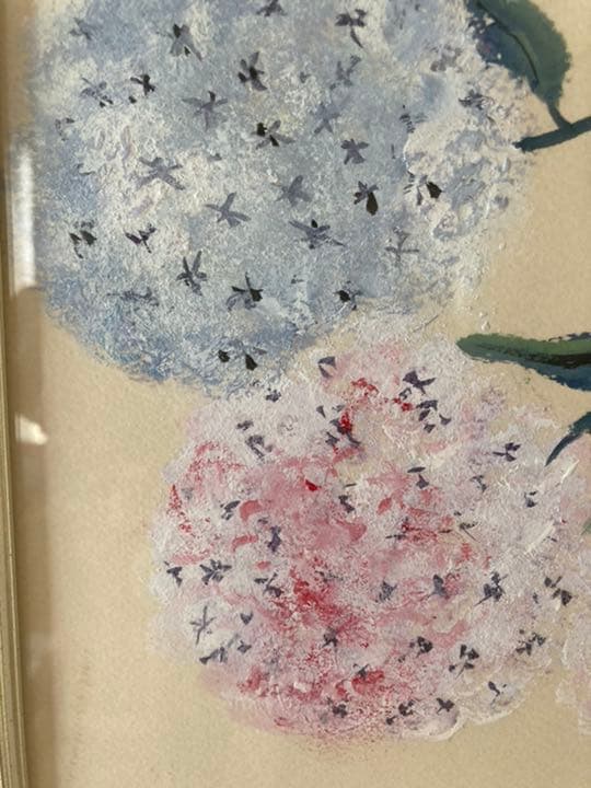 西洋あじさいの絵