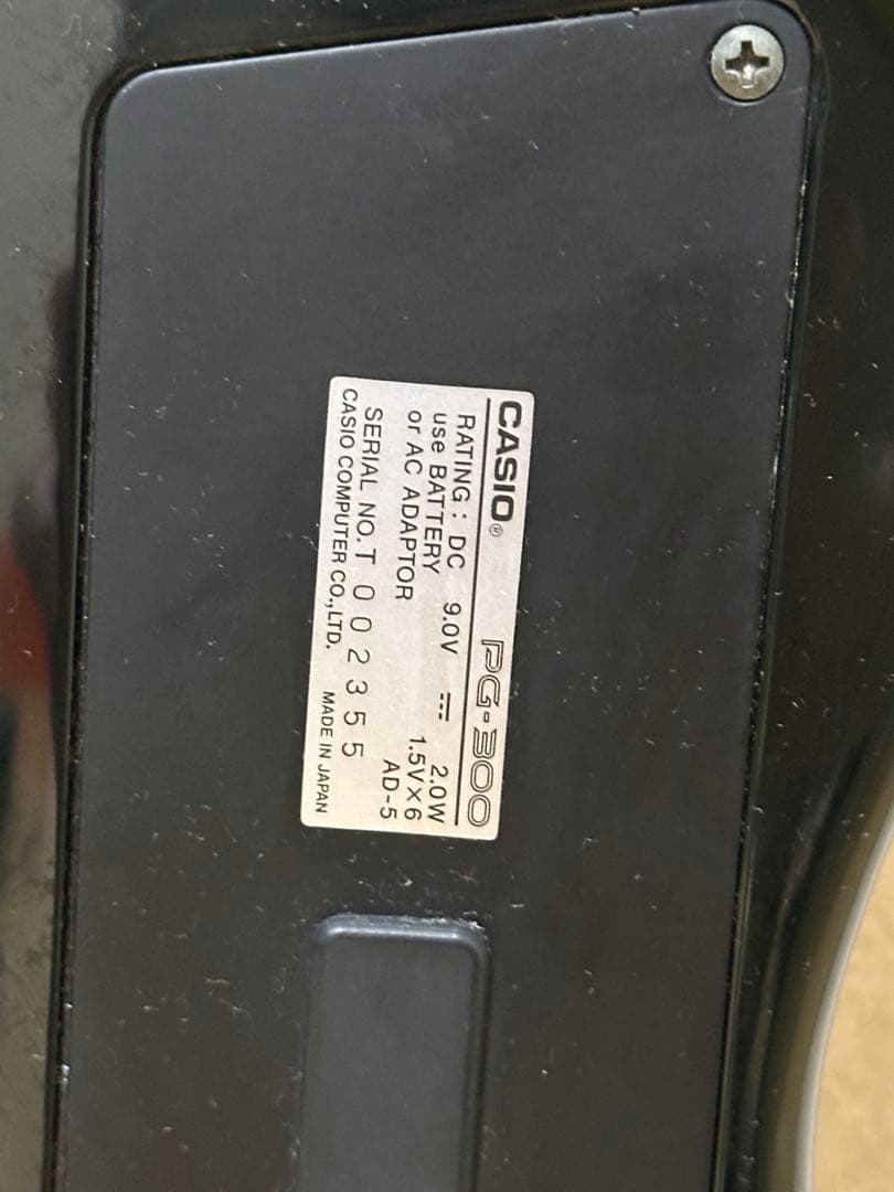 ギター CASIO PG-300