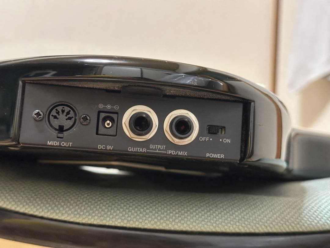 ギター CASIO PG-300