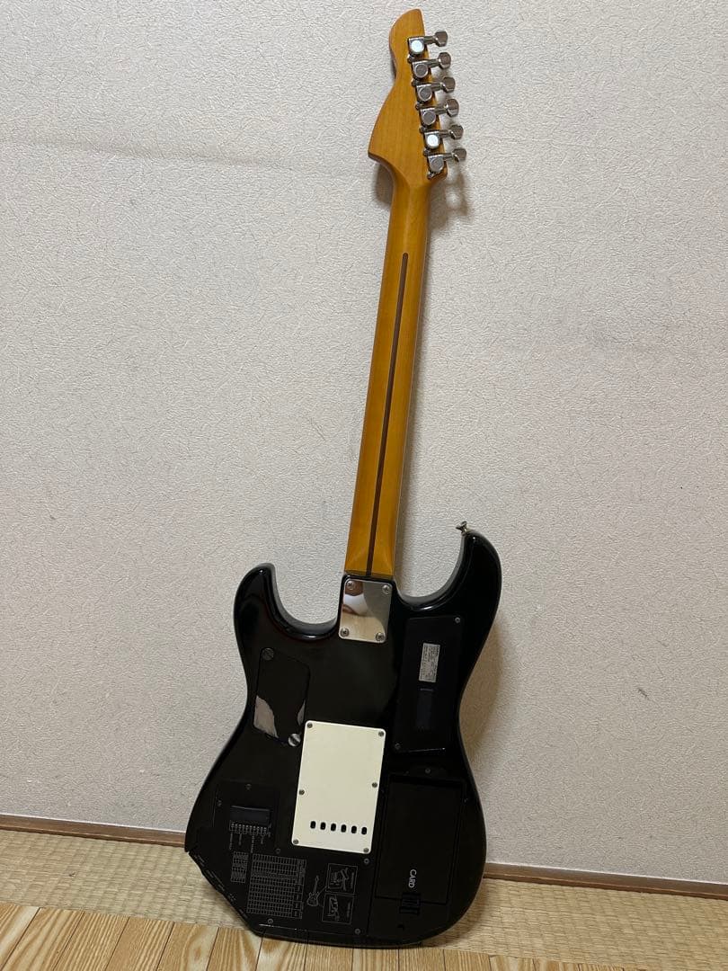 ギター CASIO PG-300