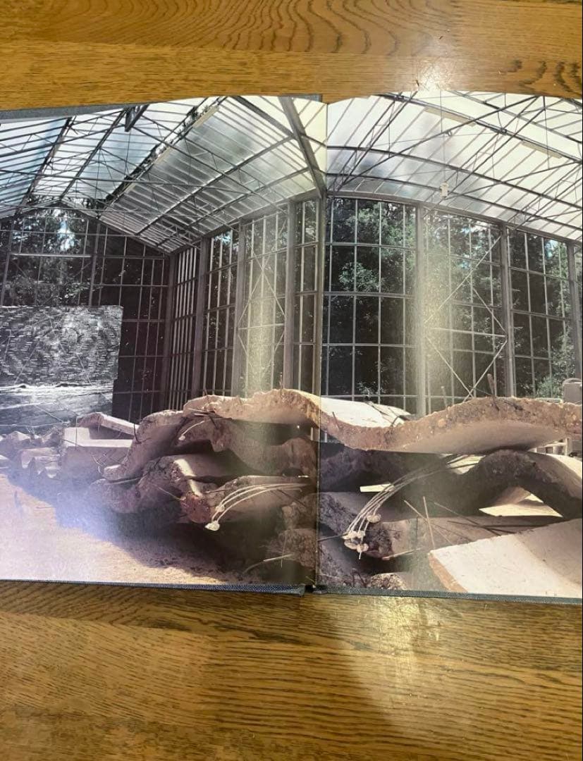 Anselm Kiefer Merkaba アンゼルム キーファー マカバ