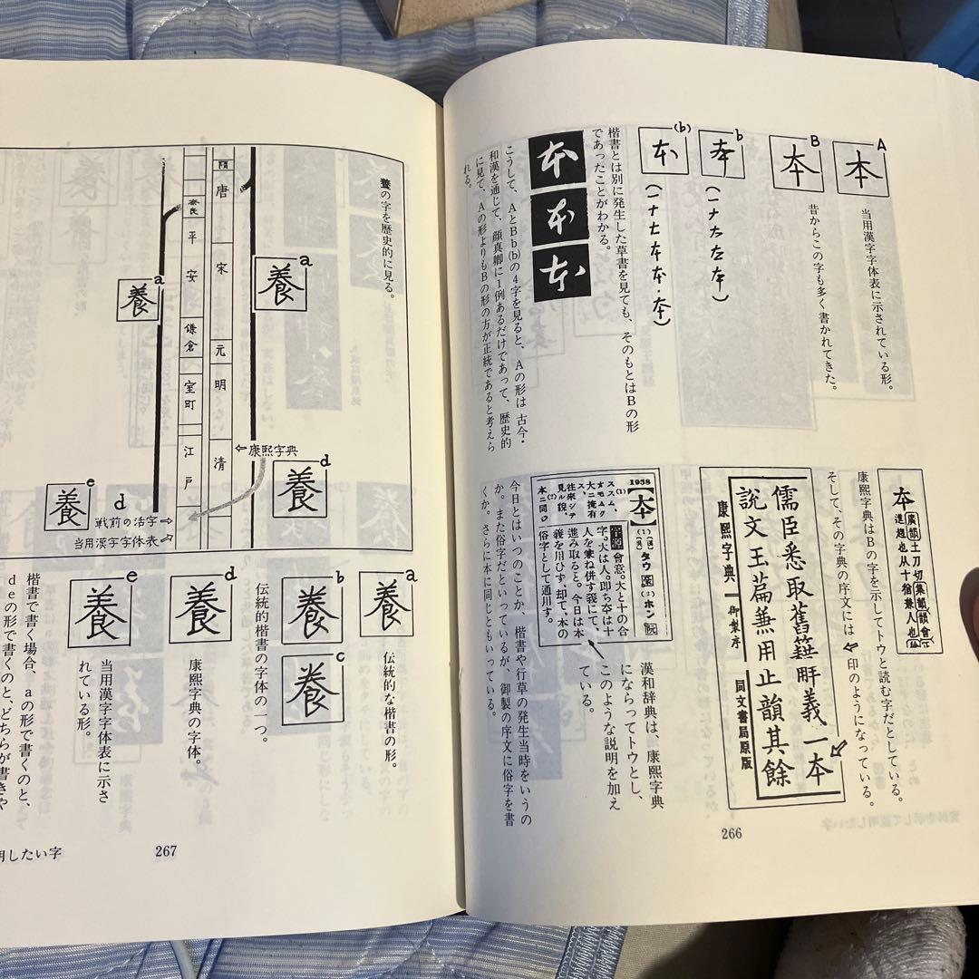 解説字体辞典　江守賢治