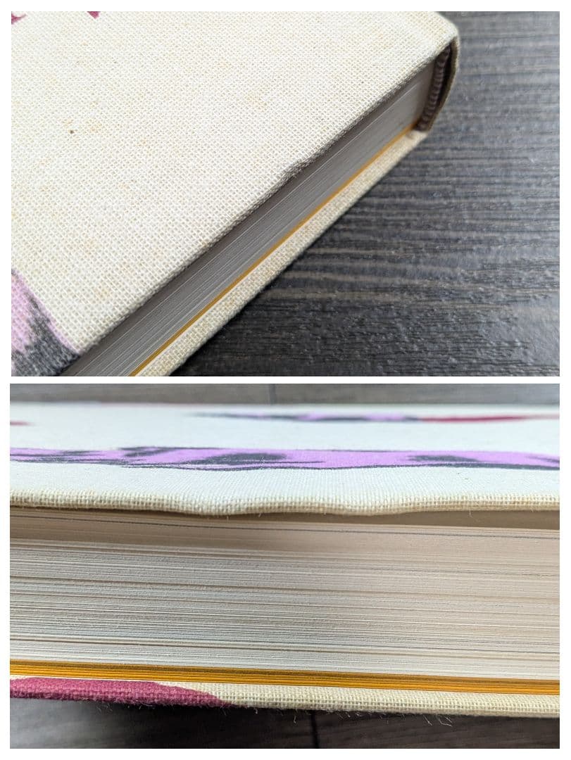 洋書　Salvador Dalí　サルバドール・ダリ