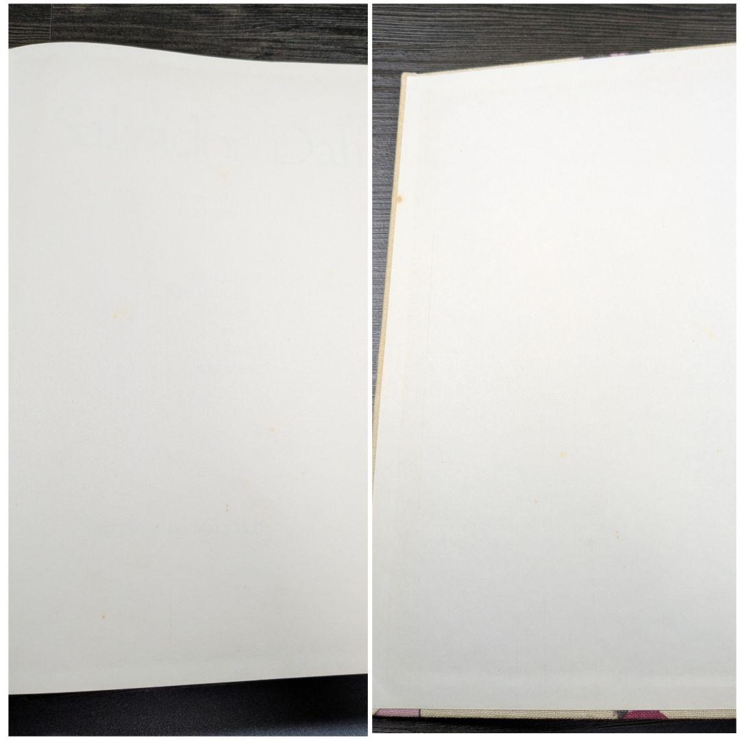 洋書　Salvador Dalí　サルバドール・ダリ