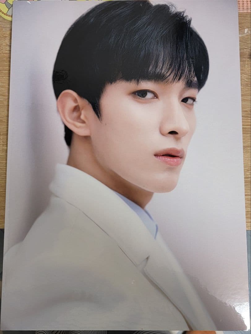 SEVENTEEN ドギョム 241個セット