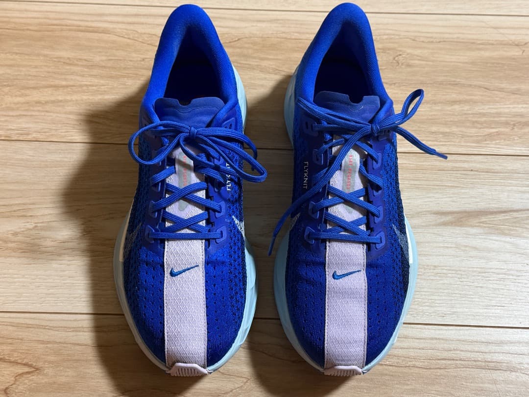 ナイキ　ペガサス　プラス　25.5cm