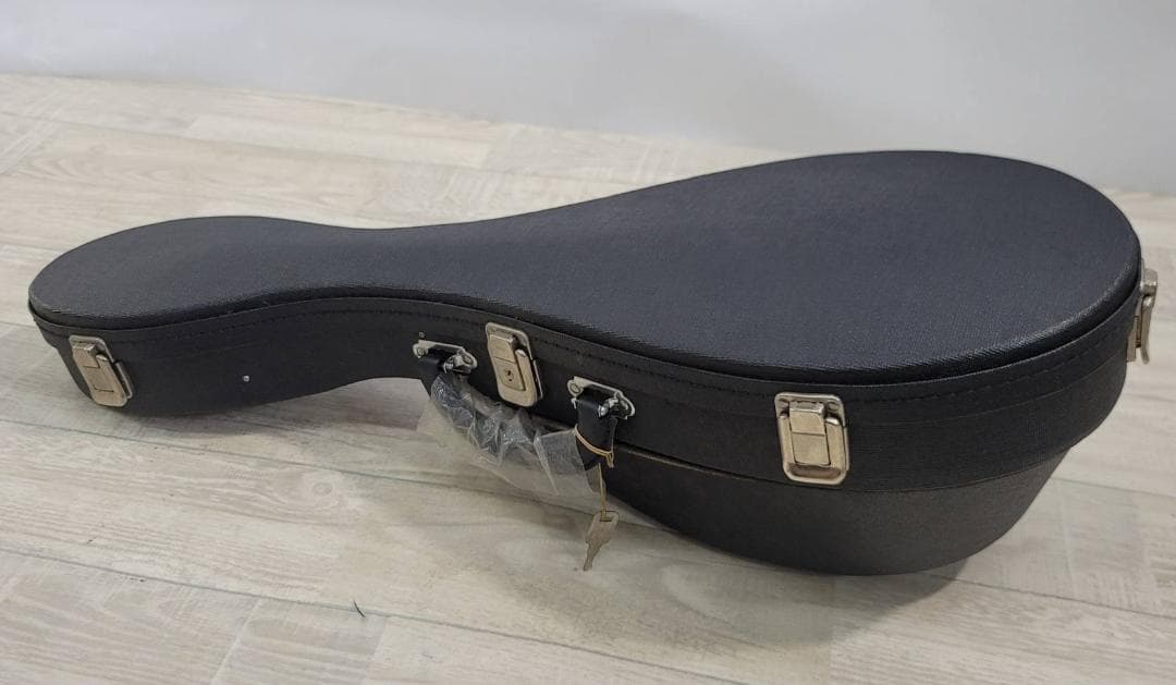 【美品】SUZUKI マンドリン M-60 ハードケース付 スズキ