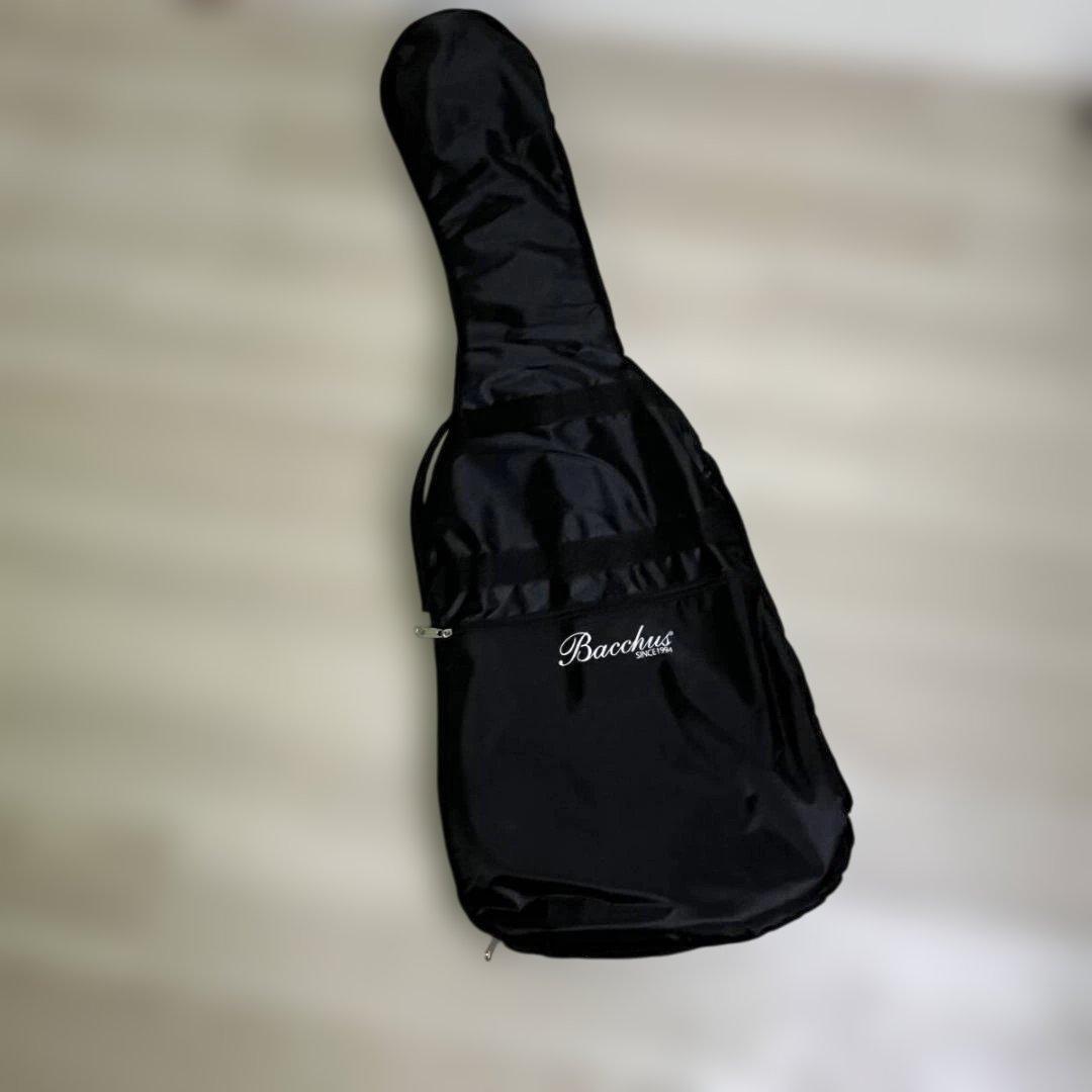 Bacchus BJB-1R-FL 3TS フレットレス美品 ベース