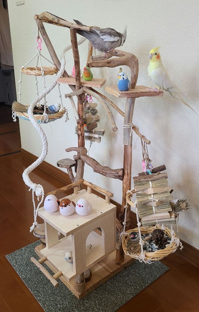 ① エリザ@プロフ必読‪☆おまとめで割引可能ページ　バードアスレチック