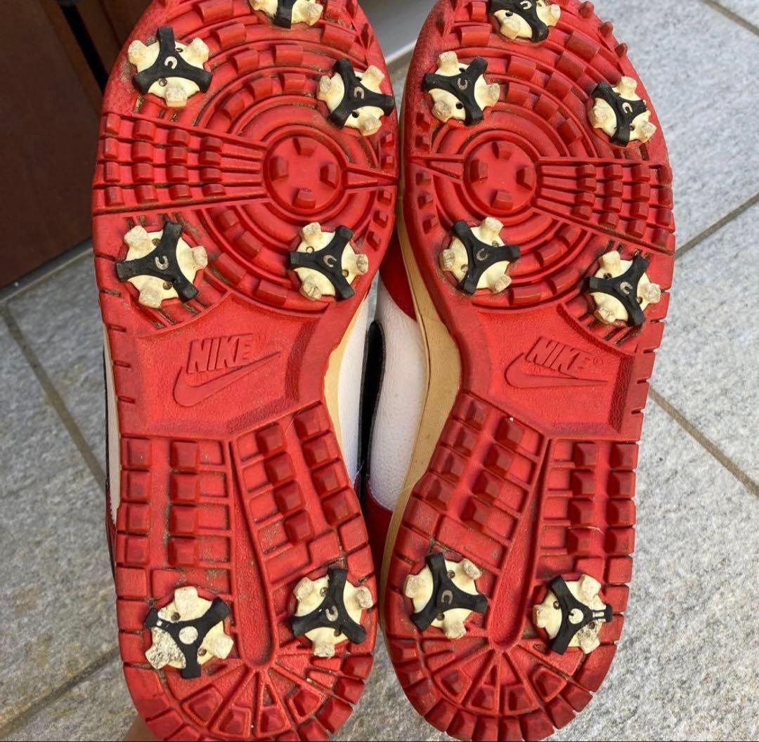 NIKE DUNK ナイキ ダンク ゴルフ 25.5